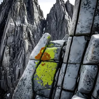 Imagen PNG para descargar